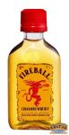 Fireball Whisky 0,05l / 33%