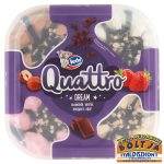  Jégkrém Quattro Dream Csokoládé,Vanília, Mogyoró,Eper (dobozos) 975g
