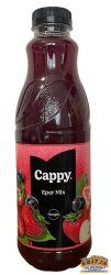 Cappy Eper Mix 1l DRS