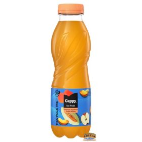 Cappy Ice Fruit Barack-Dinnye 0,5l DRS