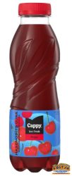 Cappy Ice Fruit Meggy 0,5l DRS