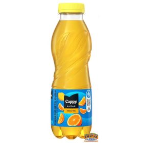Cappy Ice Fruit Citrus Mix 0,5l DRS