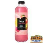 Cappy Lemonade Zero Citrom&Eper1,25l