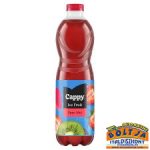 Cappy Ice Fruit Eper-Kivi 1,5l