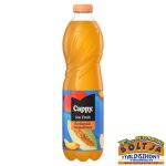 Cappy Ice Fruit Barack-Dinnye 1,5l