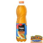 Cappy Ice Fruit Barack-Dinnye 1,5l DRS