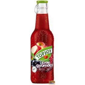 Topjoy Erdei Gyümölcs 0,25l DRS