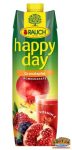 Happy Day Gránátalma 1l